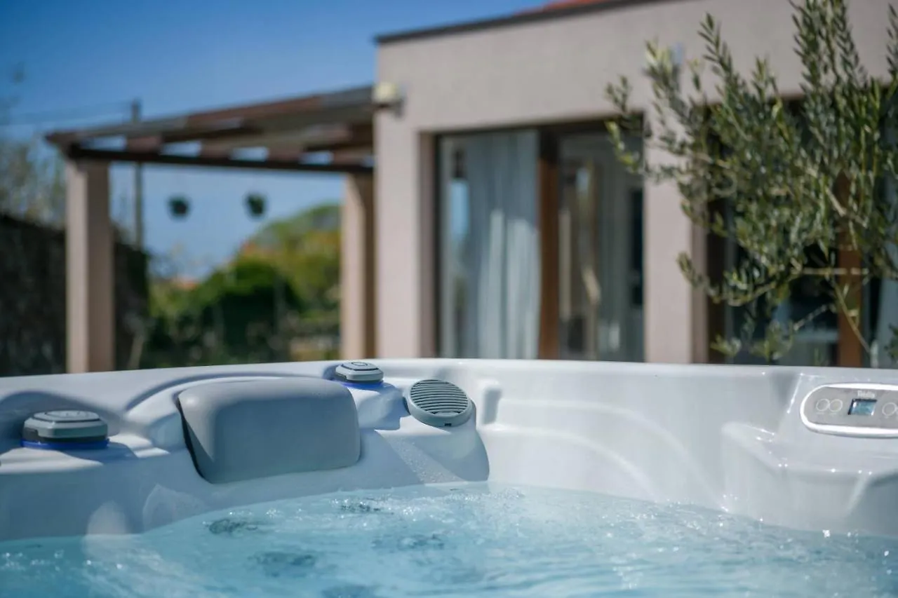 Вилла Bobo Family House With Pool Воднян Хорватия